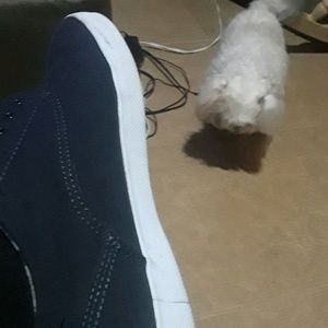 Meet your Posher, Nicholas